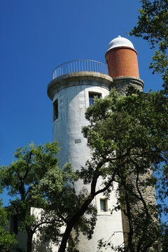 Tour plantier sur l'&icirc;le de Noirmoutier