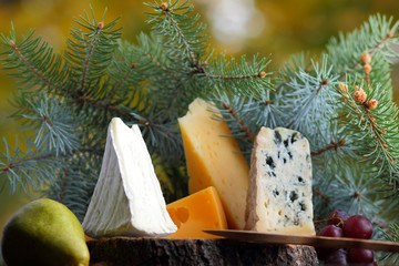 Different sorts of cheese and fruit with Christmas tree branches. Blue cheese, camembert and hard...