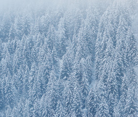 Winter landscape with snow covered trees as New Years background.