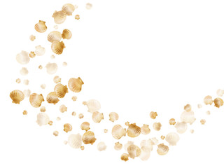 Gold seashells vector, golden pearl bivalved mollusks. Exotic scallop, bivalve pearl shell, marine mollusk isolated on white wild life nature background. Chic gold sea shell design.