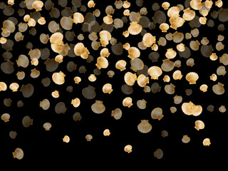 Gold seashells vector, golden pearl bivalved mollusks. Cartoon scallop, bivalve pearl shell, marine mollusk isolated on black wild life nature background. Chic gold sea shell illustration.