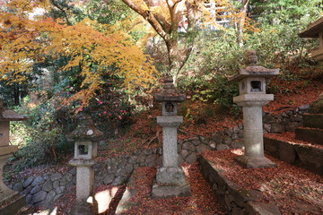 奈良県　長谷寺の紅葉