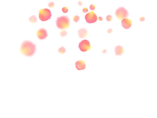 Rose gold petals flying cosmetics vector background.