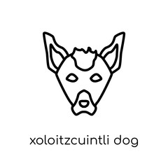 Xoloitzcuintli dog icon. Trendy modern flat linear vector Xoloitzcuintli dog icon on white background from thin line dogs collection