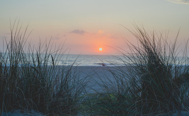 Fototapeta na wymiar Sunset on beach with dunes and grass