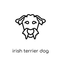 Irish Terrier dog icon. Trendy modern flat linear vector Irish Terrier dog icon on white background from thin line dogs collection