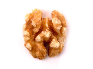 One Healthy Walnut Half on a White Background