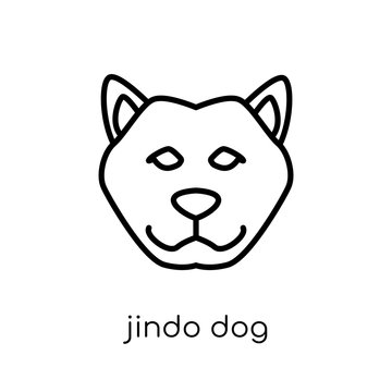 Jindo dog icon. Trendy modern flat linear vector Jindo dog icon on white background from thin line dogs collection