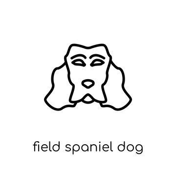 Field Spaniel dog icon. Trendy modern flat linear vector Field Spaniel dog icon on white background from thin line dogs collection