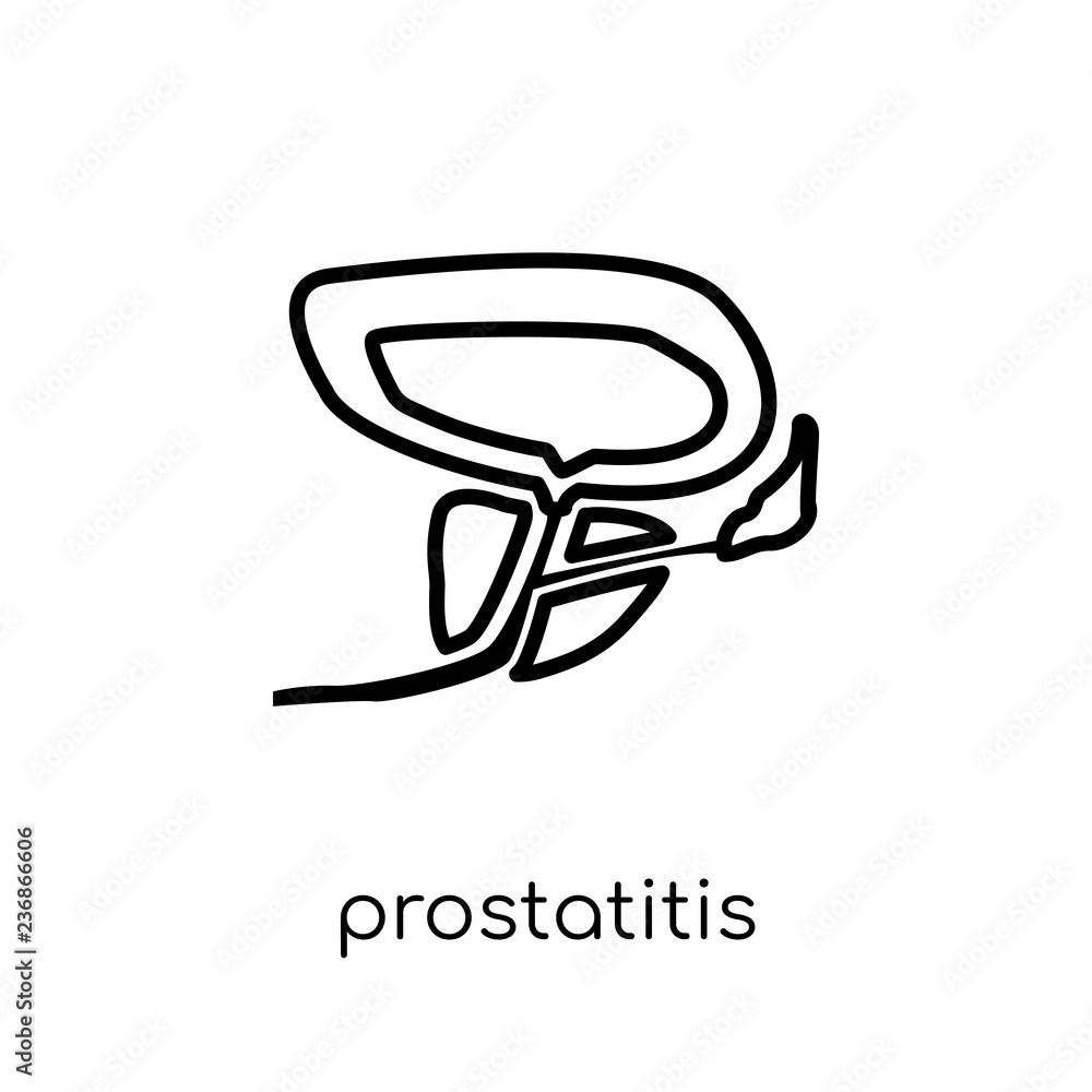 Poster prostatitis icon. trendy modern flat linear vector prostatitis icon on white background from thin li