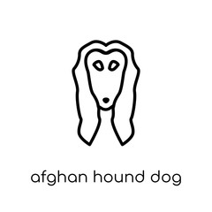 Afghan Hound dog icon. Trendy modern flat linear vector Afghan Hound dog icon on white background from thin line dogs collection