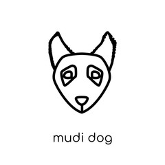 Mudi dog icon. Trendy modern flat linear vector Mudi dog icon on white background from thin line dogs collection