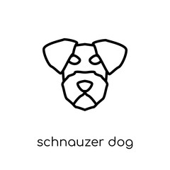 Schnauzer dog icon. Trendy modern flat linear vector Schnauzer dog icon on white background from thin line dogs collection