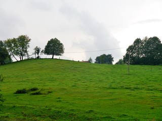 Landschaft vn Polen mit Bäumen auf Hügel