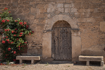 Puerta vieja  con dos bancos y un arbusto con flores