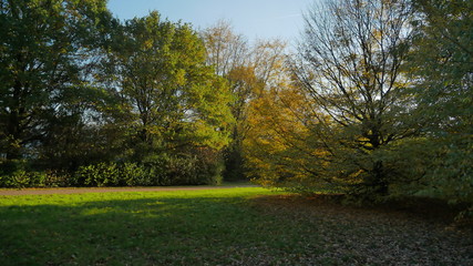 Obraz premium Herbst im Park bei Sonnenschein