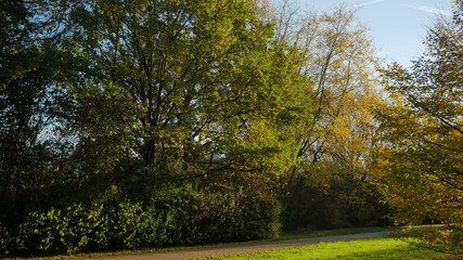 Herbst im Park bei Sonnenschein