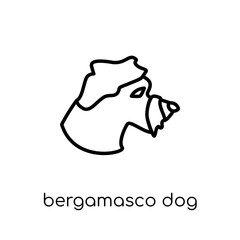Bergamasco dog icon. Trendy modern flat linear vector Bergamasco dog icon on white background from thin line dogs collection