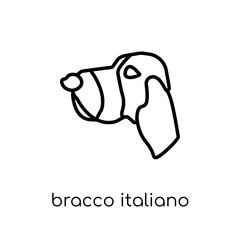 Bracco Italiano dog icon. Trendy modern flat linear vector Bracco Italiano dog icon on white background from thin line dogs collection