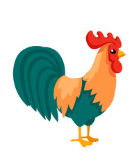Farm cock cartoon design. Colorful farm animal bird. Flat vector illustration isolated on white background