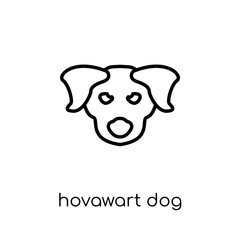 Hovawart dog icon. Trendy modern flat linear vector Hovawart dog icon on white background from thin line dogs collection