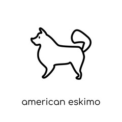 American Eskimo Dog dog icon. Trendy modern flat linear vector American Eskimo Dog dog icon on white background from thin line dogs collection