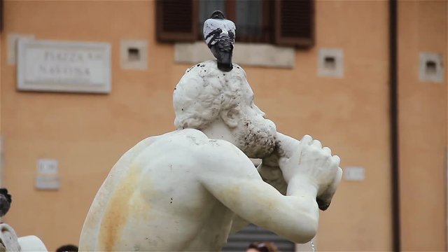 Triton Statue blowing into a Shell with Pigeon on Head, Moor Fountain (Fontana del Moro), in Piazza Navona, Rome, Italy.
