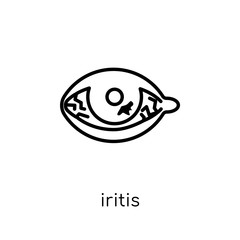 Iritis icon. Trendy modern flat linear vector Iritis icon on white background from thin line Diseases collection