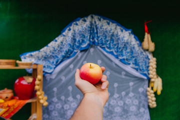 Human hand holding an apple