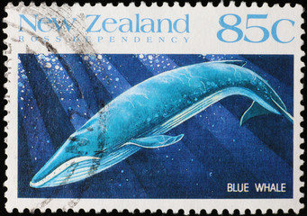 Blue whale diving on New Zealand postage stamp