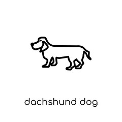 Dachshund dog icon. Trendy modern flat linear vector Dachshund dog icon on white background from thin line dogs collection