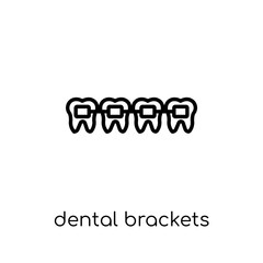 Dental Brackets icon. Trendy modern flat linear vector Dental Brackets icon on white background from thin line Dentist collection