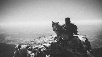 Black and white man and dog/wolf on top of mountain