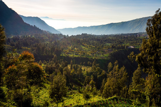 Cemoro Lawang at sunrise, Bromo Tengger Semeru National Park, East Java, Indonesia