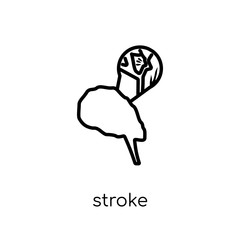 Stroke icon. Trendy modern flat linear vector Stroke icon on white background from thin line Diseases collection