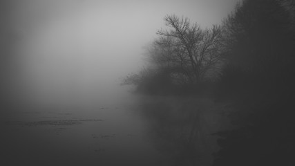 Obraz na płótnie Canvas Tree on pond on foggy morning