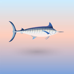 Marlin fish illustration