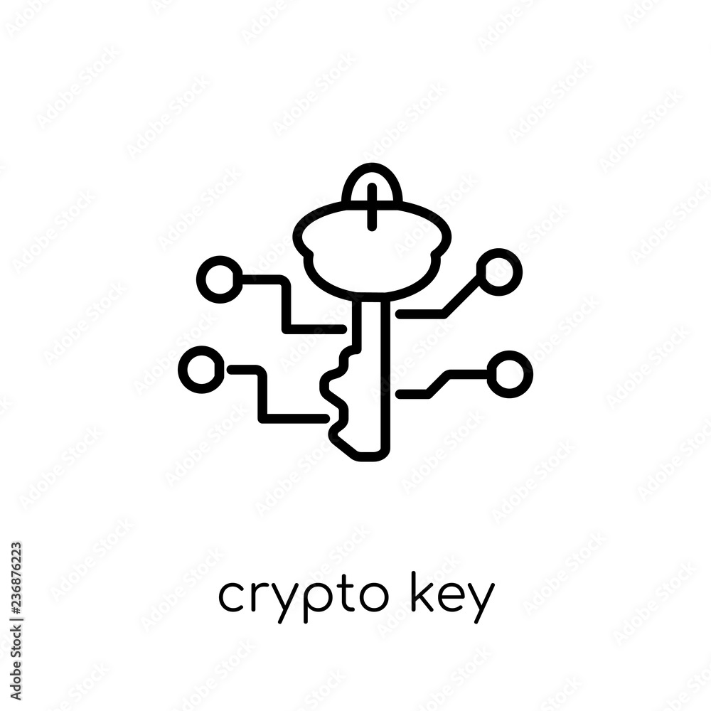 Poster crypto key icon. trendy modern flat linear vector crypto key icon on white background from thin line