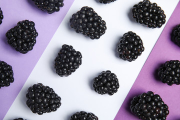 Flat lay composition with ripe blackberries on color background