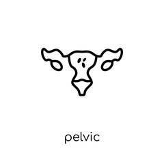 pelvic inflammatory disease icon. Trendy modern flat linear vector pelvic inflammatory disease icon on white background from thin line Diseases collection, outline vector illustration