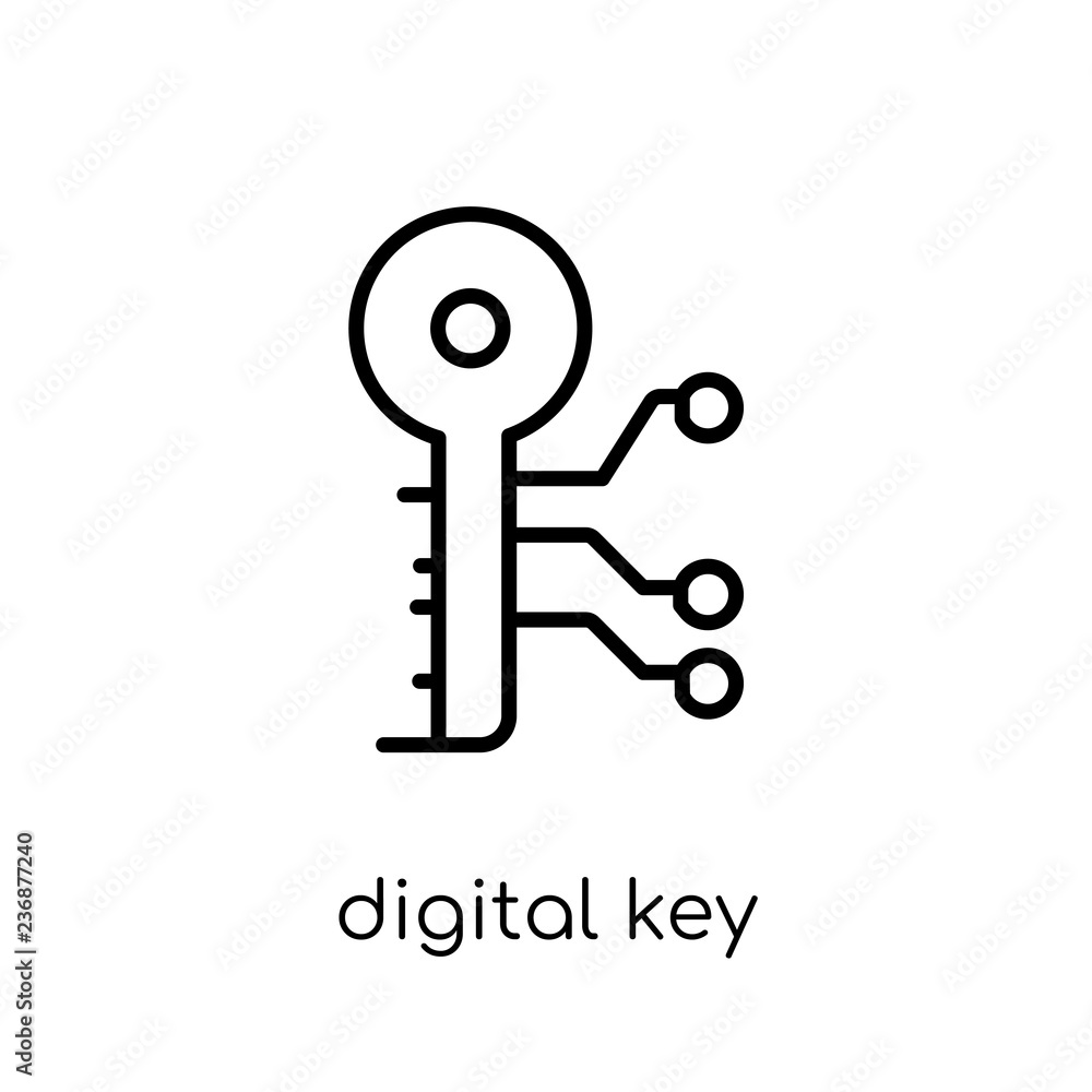 Poster digital key icon. trendy modern flat linear vector digital key icon on white background from thin li