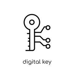 Digital key icon. Trendy modern flat linear vector Digital key icon on white background from thin line Cryptocurrency economy and finance collection