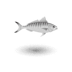Australian herring fish with stipple effect in black and white