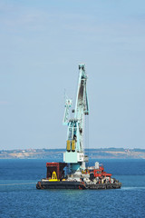 Floating cargo crane