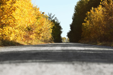 Beautiful view of country road and autumn forest