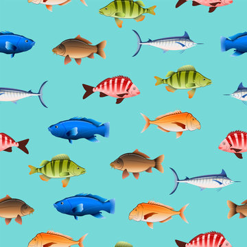Various Australian fish seamless pattern on colored background © Greg Brave