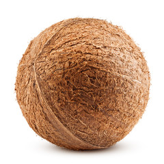coconuts whole, isolated on white background, clipping path, full depth of field