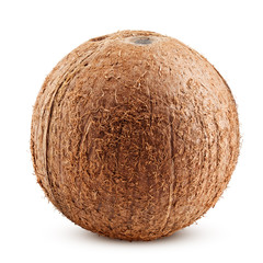 coconuts whole, isolated on white background, clipping path, full depth of field
