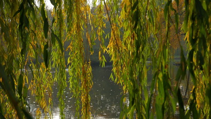 Garten und Park im Herbst am See
