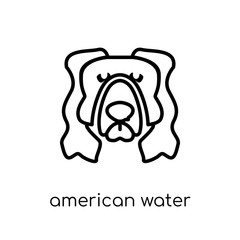 American Water Spaniel dog icon. Trendy modern flat linear vector American Water Spaniel dog icon on white background from thin line dogs collection
